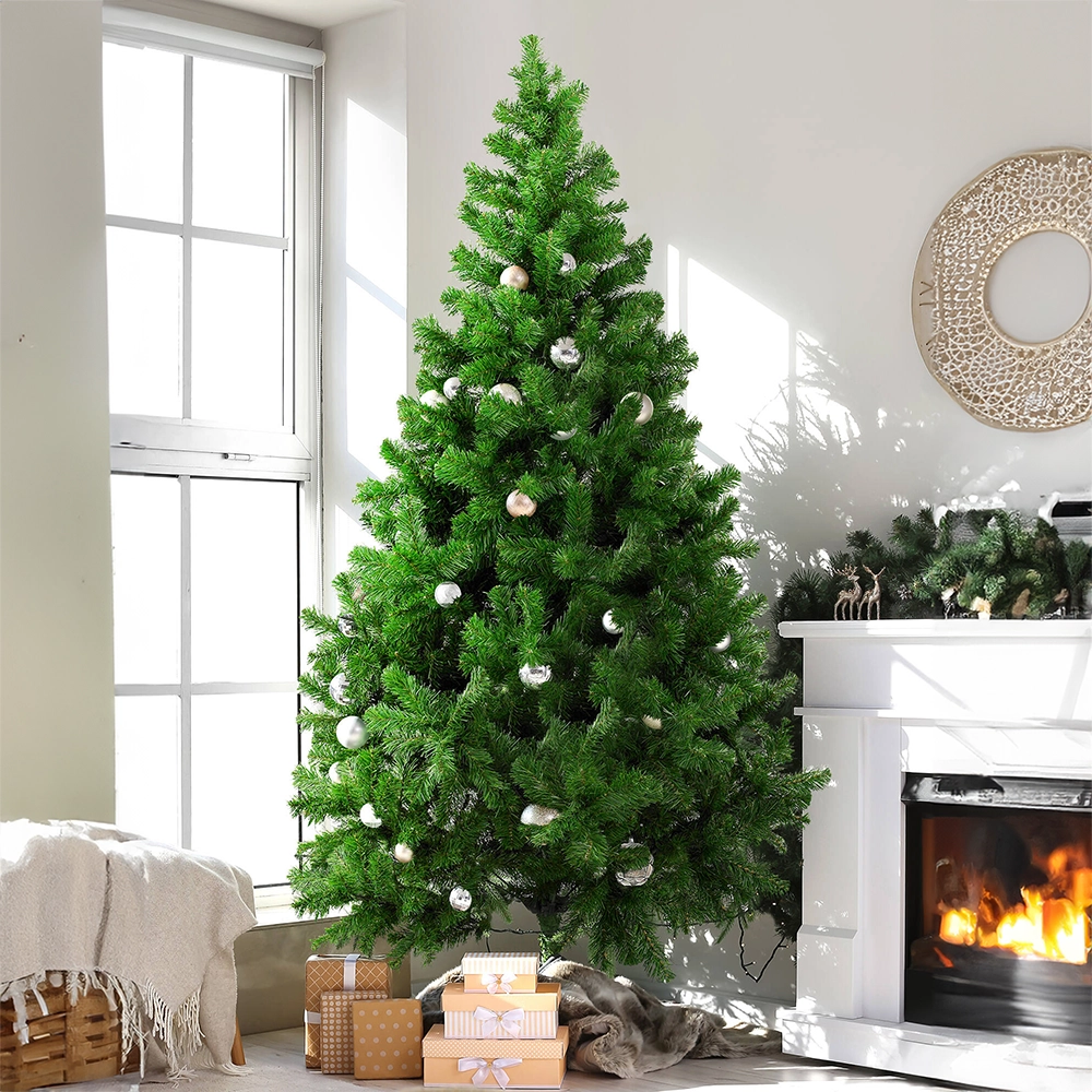 Albero Brizzle struttura